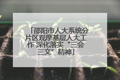邵阳市人大系统分片区观摩基层人大工作 深化落实“三会三文”精神